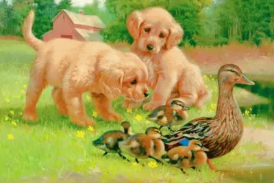 dog jigsaw puzzle
