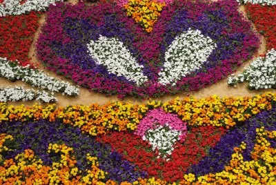TAPETE DE FLORES