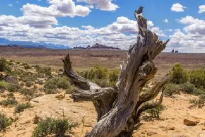 פאזל של Moab, Utah