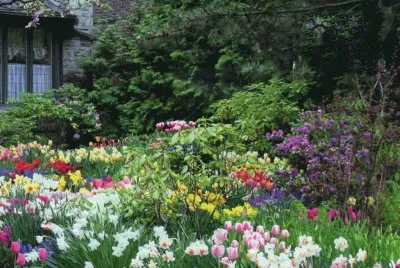 JardÃ¬