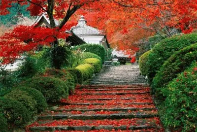 919 PAISAJES_HERMOSOS2[1].jpg