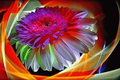 Colorful-Abstract-Flower jigsaw puzzle