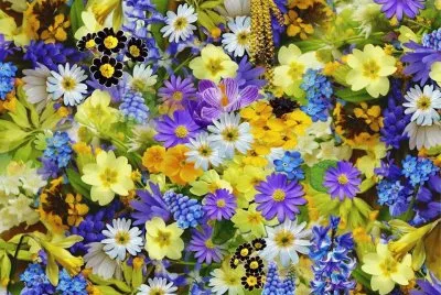 fleurs