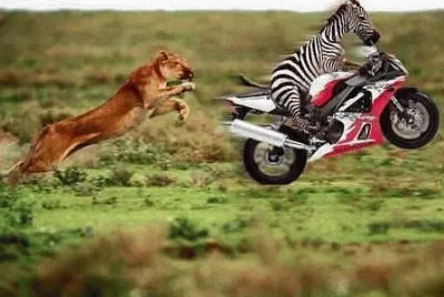 ALCÃNZAME SI PUEDES...