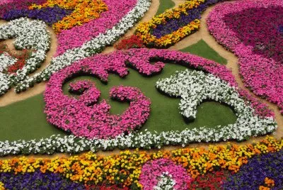TAPETE DE FLORES-2