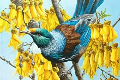 Tui in Gold  ( Kingfisher ) by  Craig Platt jigsaw puzzle
