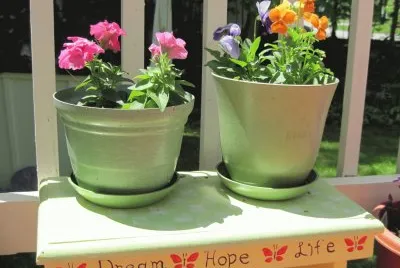 Flowers