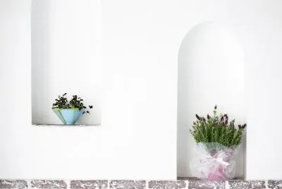 F