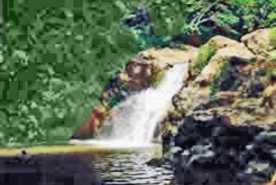 COSALA, SINALOA