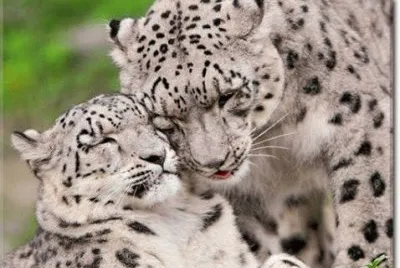 - mamÃ£e te amo!