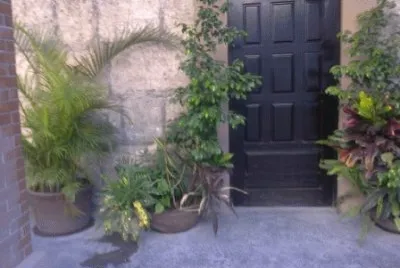 Detalle en Monterrey
