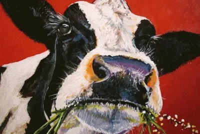 Eating Cow