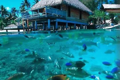 ile jigsaw puzzle