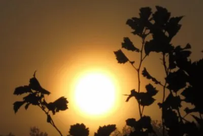 Hazy  'gonna be a hot one ' sunrise