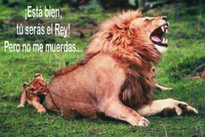 Â¿QUIÃ‰N ES EL REY?