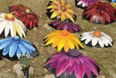 Temps de Flors 2014