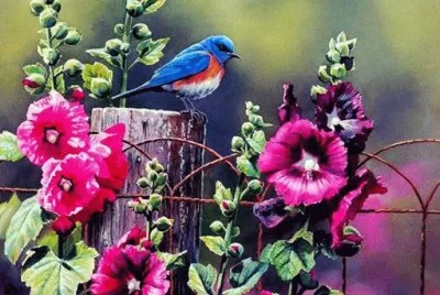 PÃSSARO E FLORES jigsaw puzzle