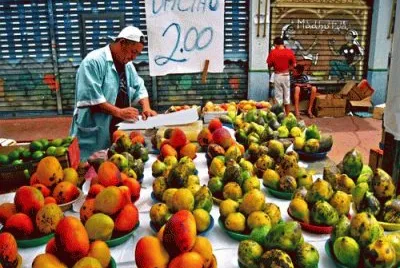 Brazil Market