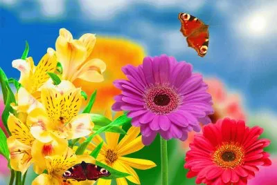 Flors