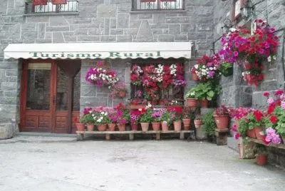 MACETAS CON FLORES