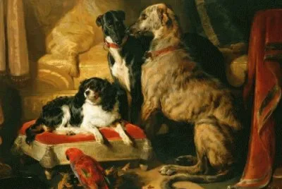 Hector Nero and-Dash with the parrot Lory by Edwin jigsaw puzzle