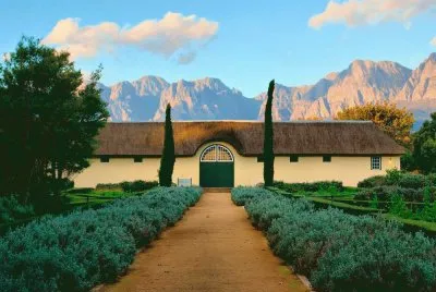 STELLENBOSCH VIÃ‘EDOS.
