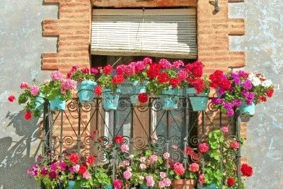 flores y macetas jigsaw puzzle
