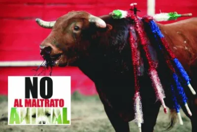 ALTO A LA CRUELDAD ANIMAL.