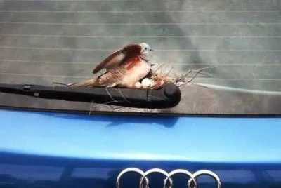 פאזל של motorhome