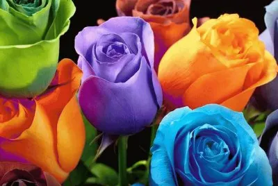 Colorful jigsaw puzzle