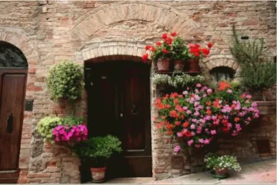 FLORES EN LA PUERTA jigsaw puzzle