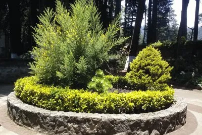 jardin