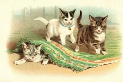 cats