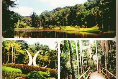 Areas do Jardim BotÃ¢nico - SP