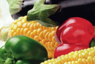 Aliments