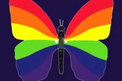 Borboleta