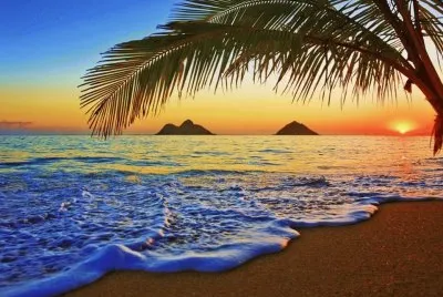 ile jigsaw puzzle