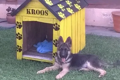 פאזל של KROOS