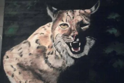 lince