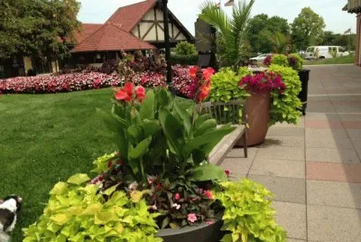 St Louis Hotel