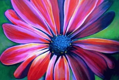 Daisy Flower jigsaw puzzle