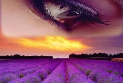 Lavender and Eye jigsaw puzzle