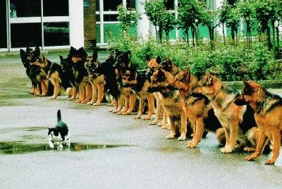 VALEROSO DESAFÃO.