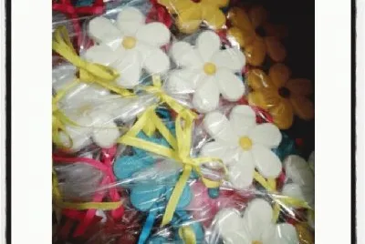 margaridas coloridas