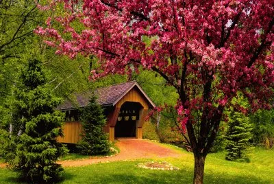 casa de primavera