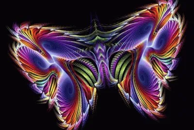 papillon