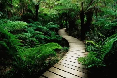 jardin