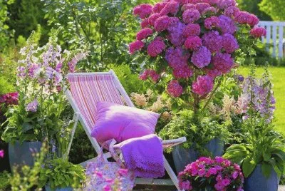 jardin