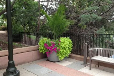 Bench in courtyard