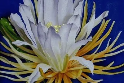 Amazing Flower jigsaw puzzle